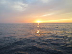 IMG_8239
