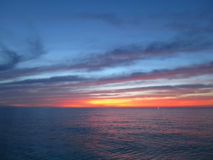 IMG_8281