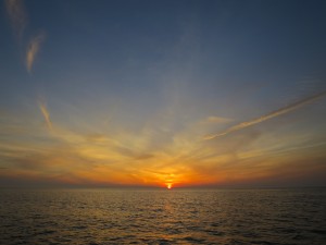 IMG_8299