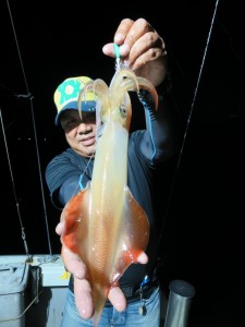 IMG_8641