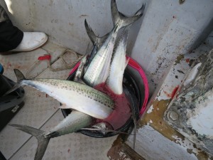 img_9633