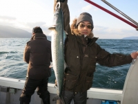 IMG_2517.jpg