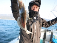 IMG_2526.jpg