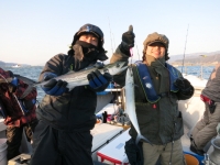 IMG_2527.jpg