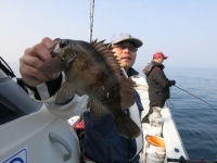 IMG_2533.jpg