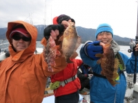 IMG_2555.jpg