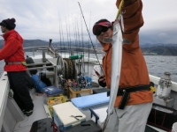 IMG_2559.jpg