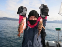 IMG_2623.jpg
