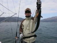 IMG_2663.jpg