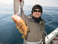 IMG_2667.jpg
