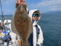 IMG_2679.jpg