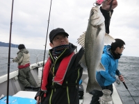 IMG_2696.jpg