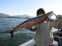 IMG_2707.jpg