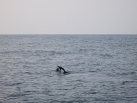 IMG_2717.jpg