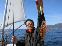 IMG_2827.jpg