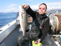 IMG_2863.jpg