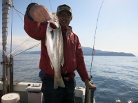 IMG_2864.jpg