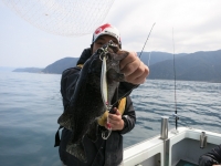IMG_2890.jpg