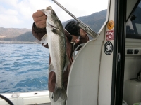 IMG_2943.jpg
