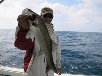 IMG_2944.jpg