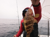IMG_2984.jpg