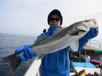 IMG_2991.jpg