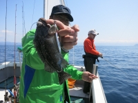 IMG_3012.jpg