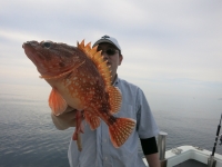 IMG_3270.jpg