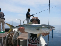 IMG_3321.jpg