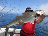 IMG_3356.jpg