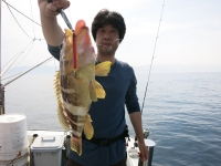 IMG_3372.jpg