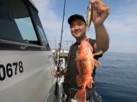 IMG_3373.jpg