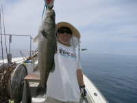 IMG_3379.jpg