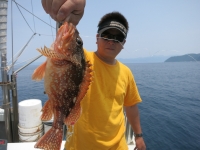 IMG_3401.jpg