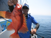 IMG_3475.jpg