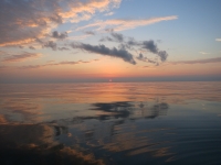 IMG_3524.jpg