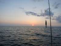 IMG_3614.jpg