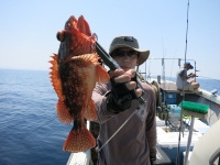 IMG_3668.jpg