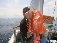 IMG_3825.jpg