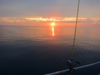 IMG_3838.jpg