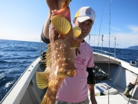 IMG_3966.jpg