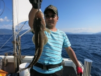 IMG_4018.jpg