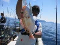 IMG_4023.jpg
