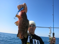 IMG_4155.jpg