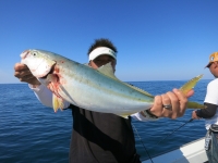 IMG_4211.jpg