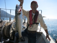IMG_4215.jpg