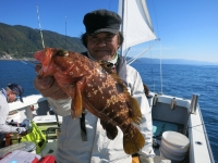 IMG_4222.jpg