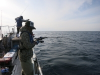 IMG_4287.jpg