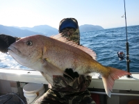 IMG_4303.jpg