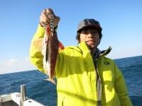 IMG_4312.jpg